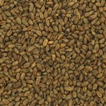 805262 - Briess CaraCrystal Wheat Malt - 50 lb. bag