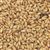805312 - Briess Caramel Malt 10L - per lb.
