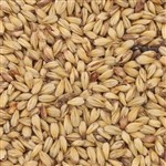 805315 - Briess Caramel Malt 10L - 50 lb. bag
