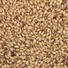 805332 - Briess Caramel Malt 20L - per lb.