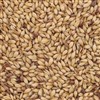 805335 - Briess Caramel Malt 20L - 50 lb. bag