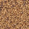 805453 - Briess Caramel Malt 120L - per lb.