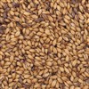 805456 - Briess Caramel Malt 120L - 50 lb. bag