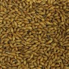806499 - Thomas Fawcett Amber Malt - 55 lb. bag