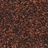 806512 - Briess Chocolate Malt - per lb.