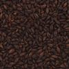806532 - Briess Dark Chocolate Malt - per lb.