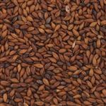 806824 - Briess ORGANIC Roasted Barley - per lb.