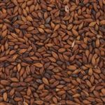 800281 - Briess ORGANIC Roasted Barley - per oz.