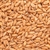 809281 - IREKS Spelt Malt - 55 lb. bag