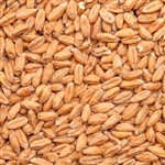 809281 - IREKS Spelt Malt - 55 lb. bag
