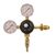 843635 - Nitrogen Regulator