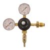 843635 - Nitrogen Regulator