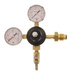 843635 - Nitrogen Regulator