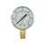 843638 - Low Pressure Gauge 0-60psi