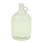 863198 - 1 Gallon Glass Jug - Clear